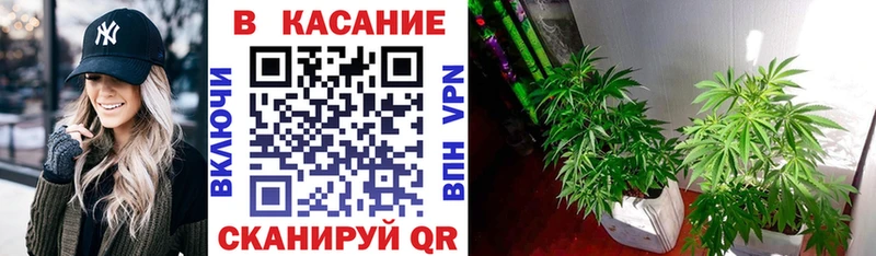 Где продают наркотики Шали Alpha-PVP Мефедрон LSD-25 Каннабис ГАШ