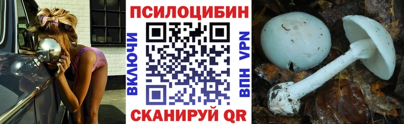 blacksprut   Шали  Псилоцибиновые грибы прущие грибы 