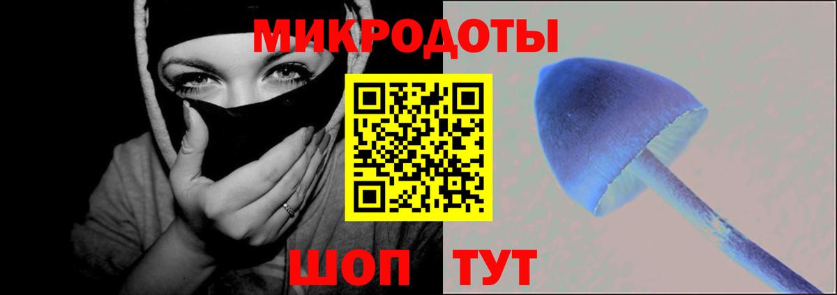 Галлюциногенные грибы Psilocybine cubensis Шали