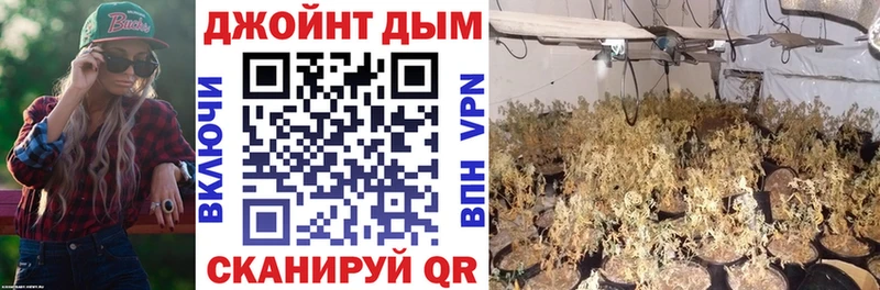 Бошки Шишки THC 21%  дарк нет телеграм  Шали 